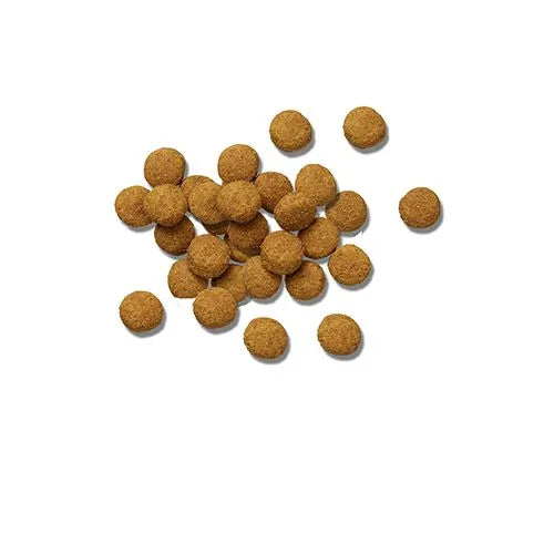 Purina Pro Plan Veterinary Diets DH Dental Health Canine Formula